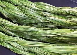 sweetgrass