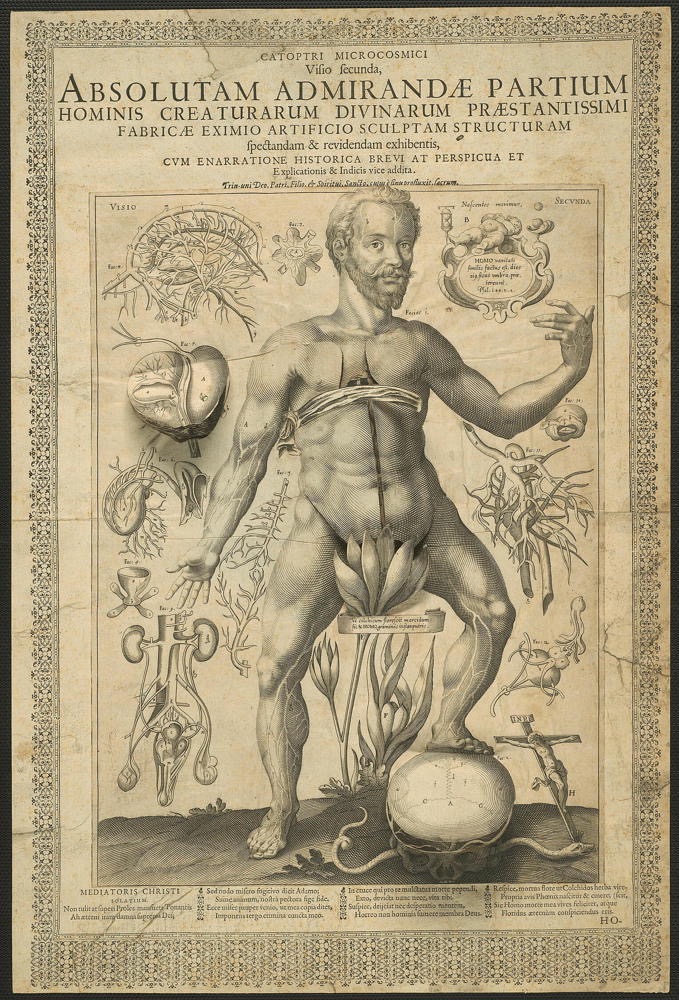 macrocosm
