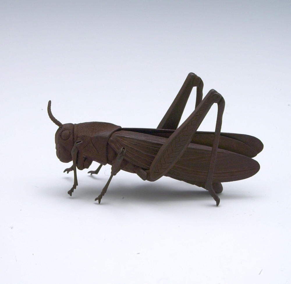 crickets